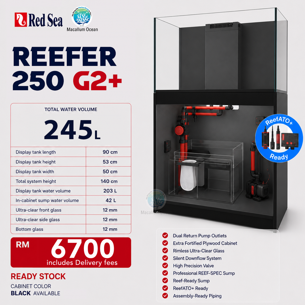 REDSEA REEFER 250 G2+
