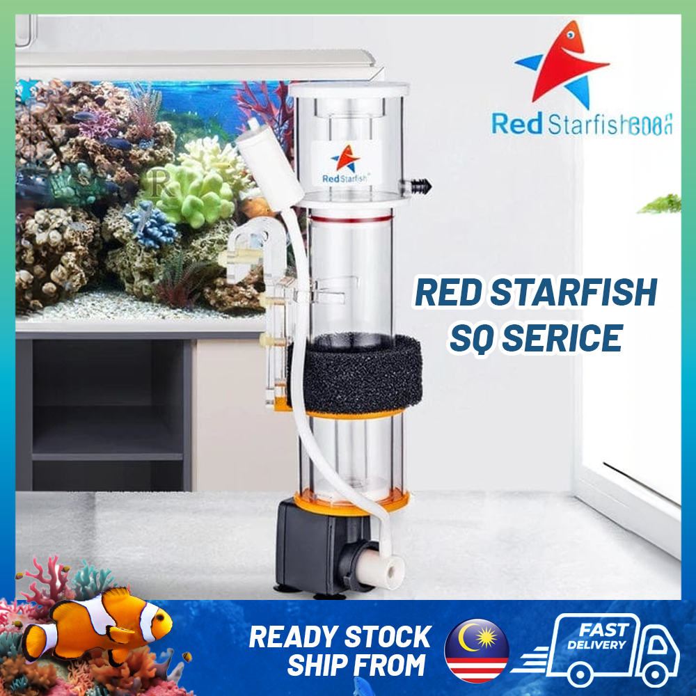 REDSTARFISH SQ SERICE