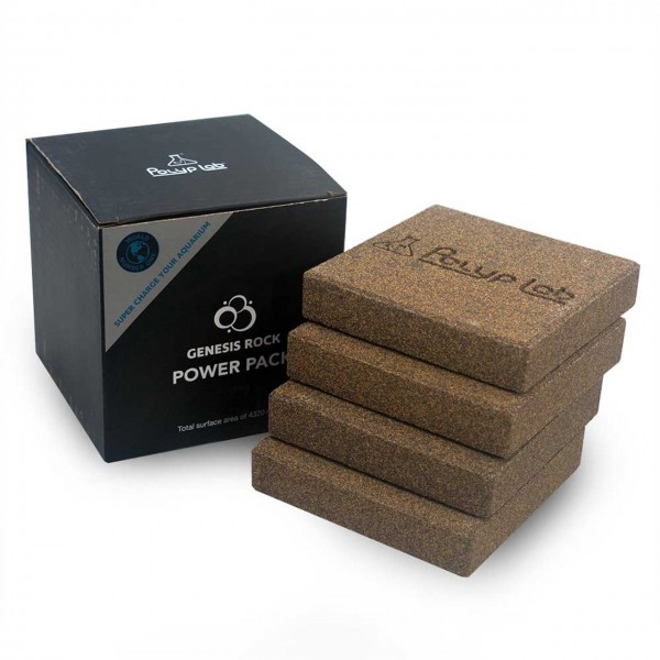 POLYP LAB GENESIS ROCK POWER PACK (4 BLOCKS )