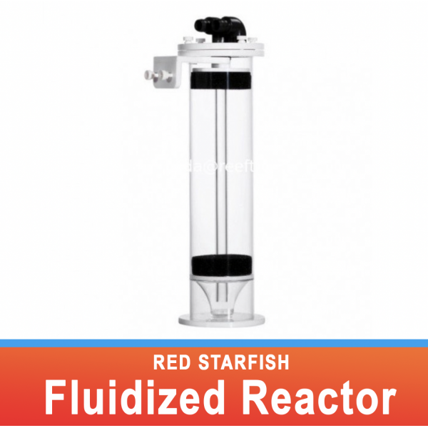 RED STARFISH FLUIDIZED REACTOR
