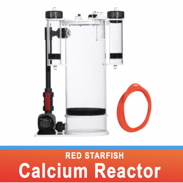 RED STARFISH CALCIUM REACTOR