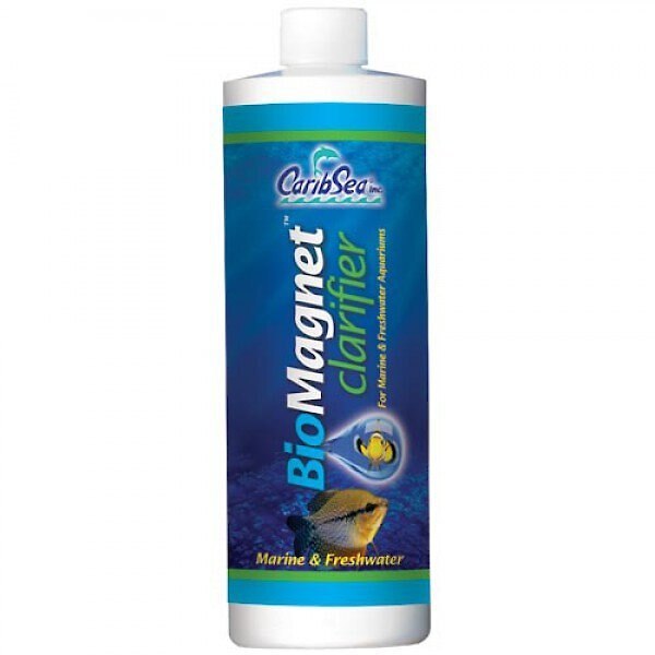 CARIBSEA BIO MAGNET CLARIFIER - 16OZ