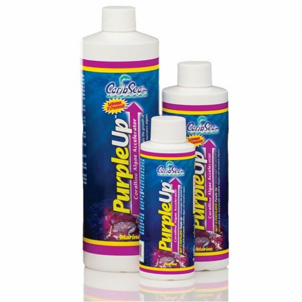 Purple Up - Coralline Algae Accelerator