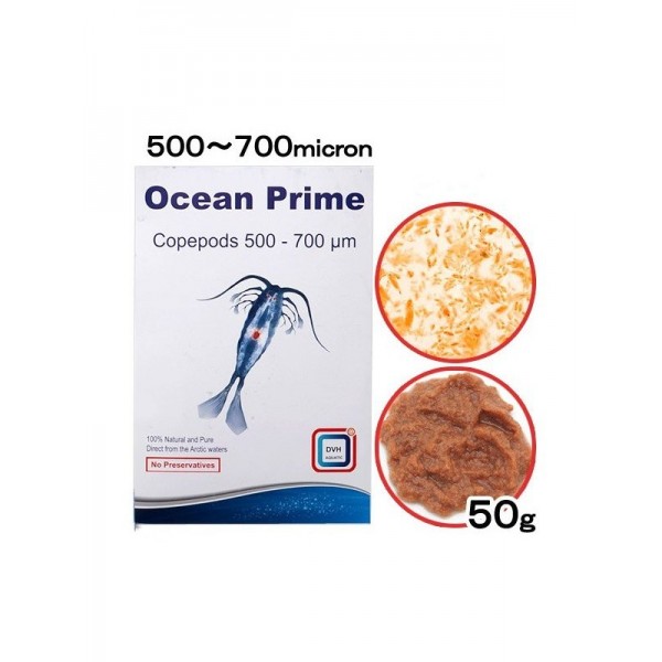 DVH OCEAN PRIME COPEPODS