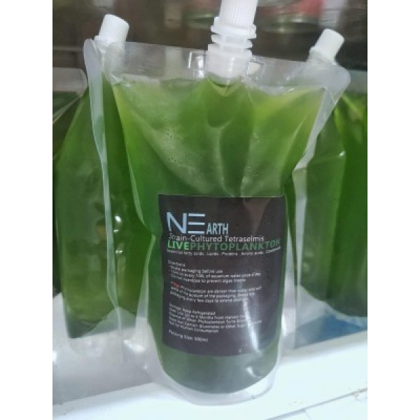 Live Phyto Plankton - 500ml