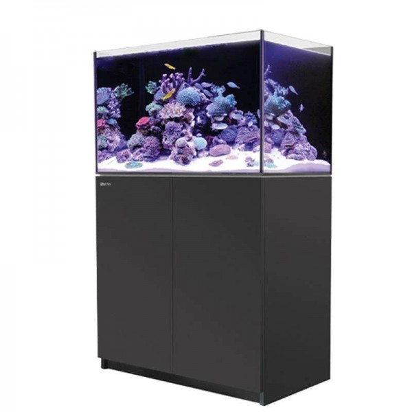 RED SEA REEFER SYSTEM TANK - G2 ( BLACK)