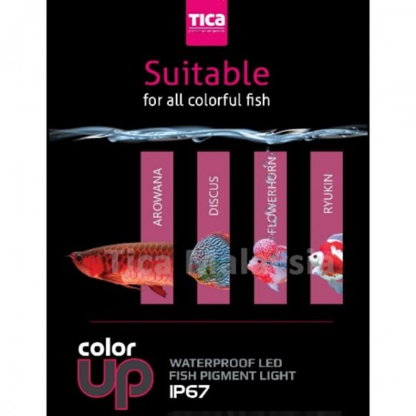 TICA LED 