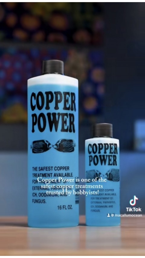 Copper Power- Keep your fish parasite-free
