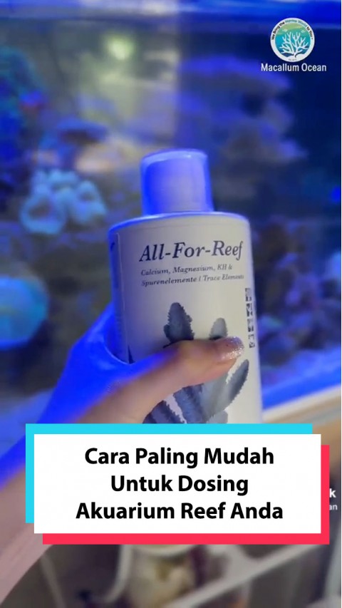 All-for-reef
