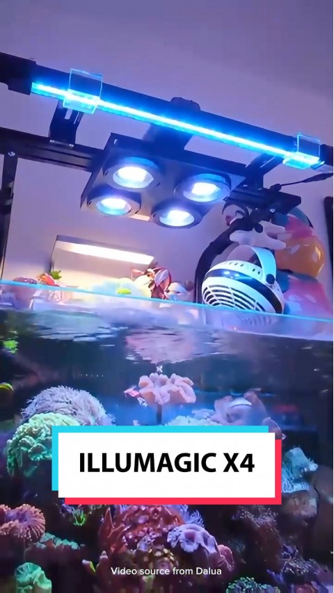Illumagic X 4 