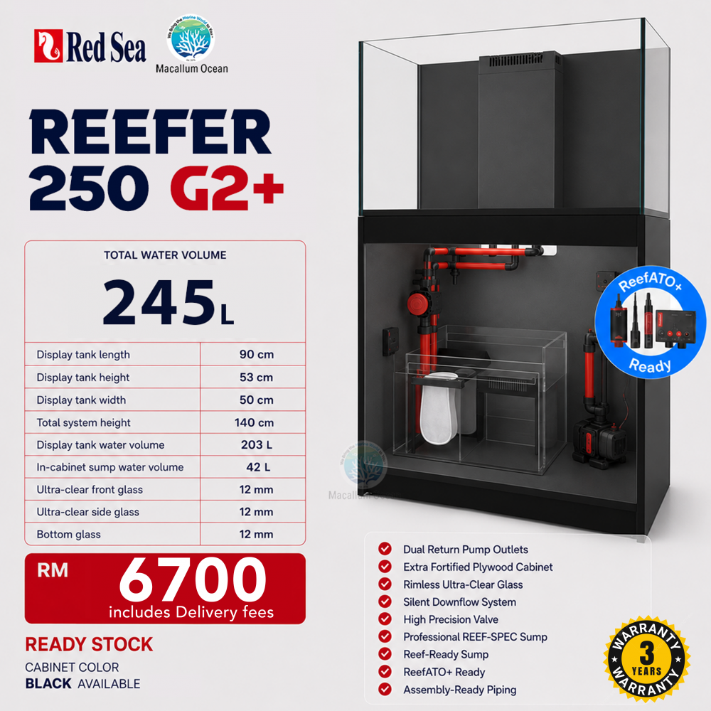 REDSEA REEFER 250 G2+